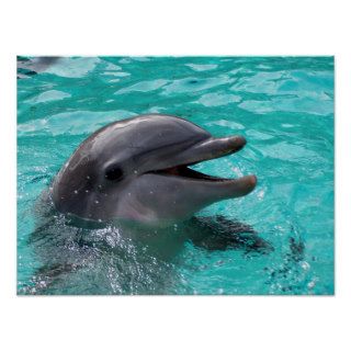 Dolphin head in aquamarine water print
