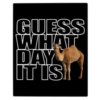 Guess What Day It Is Hump Day Camel Photo Plaque