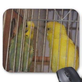 Budgie pad (mousepad)