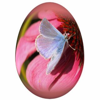 easter egg gossamer winged butterfly photo cutouts