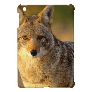 Wolf Coyote Joshua Tree Park iPad Mini Covers