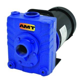 AMT Pump 282B 95 Self Priming Centrifugal Pump, Cast Iron, 2 HP, 3 Phase, 230/460V, Curve C, 1 1/2" NPT Female Suction & Discharge Ports Industrial Centrifugal Pumps