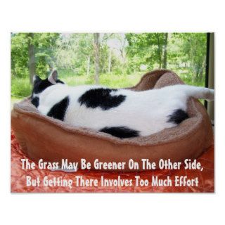 Demotivational Cat Poster Funny Kitty Cats Posters