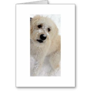 MISS TWIN ON HER OR HIS BIRTHDAY ACROSS THE MILES GREETING CARDS