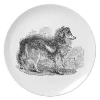 Vintage 1800s Shepherd's Dog   Sheep Dogs Dinner Plates