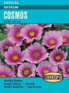 Cosmos Seeds   Daydream  Flowering Plants  Patio, Lawn & Garden