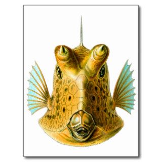 Vintage Kitsch Cowfish Fish Illustration Art Postcard