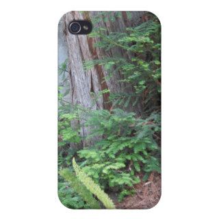 Tree and Greenery beside SLO creek iPhone 4 Cover