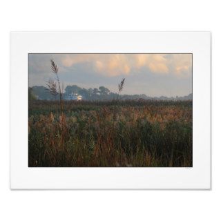 Marsh Morning on Winyah Bay Photo