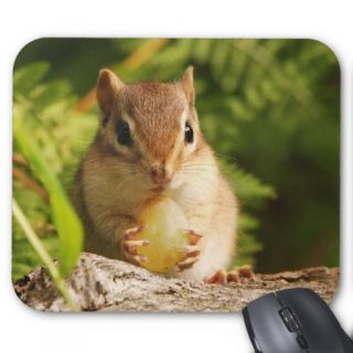 Baby Chipmunk with snack Mouse Pad
