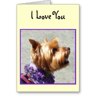 I Love You Yorkshire Terrier Greeting card