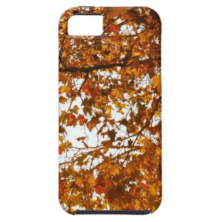 Unbe leaf able Cover For iPhone 5/5S