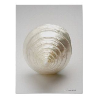 Single spiral seashell print