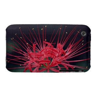 Red spider lilies Case Mate iPhone 3 case