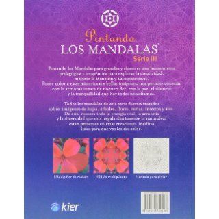 pintando los mandalas / painting mandalas (Spanish Edition) Viviana Mattei 9789501730128 Books