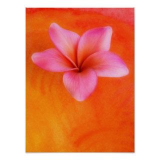 Plumeria Frangipani Hawaii Flower Customized Blank Print