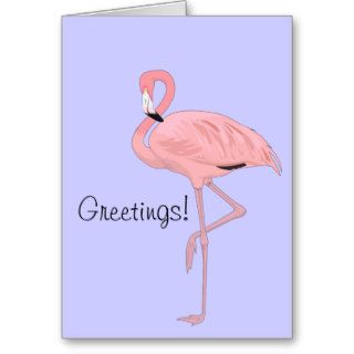 Greetings Pink Flamingo Greeting Cards
