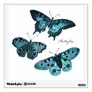 Vintage Teal Blue Butterfly Illustration   1800's Wall Sticker