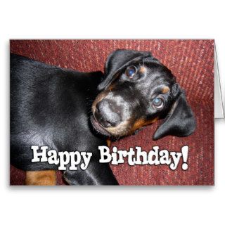 Happy Birthday   Doberman Pinscher Puppy Greeting Card