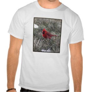 Red Cardinal Shirts