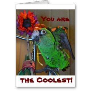 You are the coolest  Birthday Card for anyone