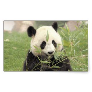 Stikers giant Panda Sticker