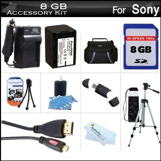 8GB Accessory Kit For Sony HDR CX380, HDR CX380/B HD Camcorder Includes 8GB High Speed SD Memory Card + Replacement (2300Mah) NP FV70 Battery + Ac / DC Charger + Deluxe Case + 50 Tripod + Micro HDMI Cable + USB 2.0 SD Reader + More  Camera & Photo