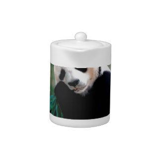 Bear Snack Time Panda