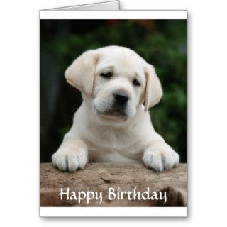 Happy Birthday Labrador Retriever Puppy Card