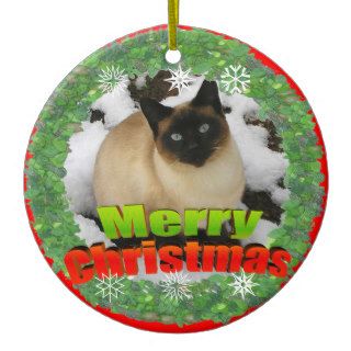 Merry Christmas Snow Cat Photo Frame Ornament