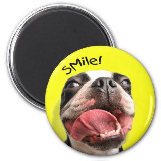 Boston Terrier Smile Magnet