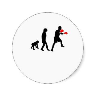 Boxing Evolution Round Stickers