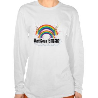 WHAT DOES IT MEAN? DOUBLE RAINBOW TEE SHIRT