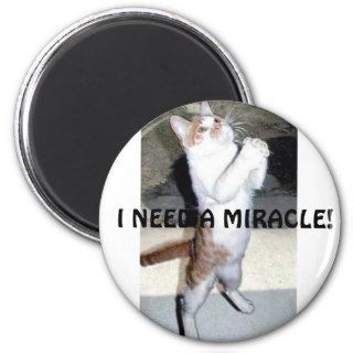 I NEED A MIRACLE MAGNET