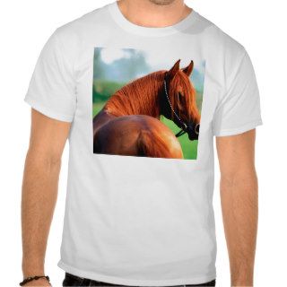 Horse Heres Looking At You Kid Arabian Tshirt