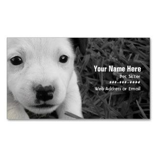 Pet Sitter Business Card   Jack Russell Puppy