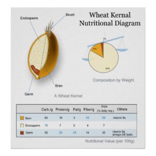Nutritional Value Diagram of a Wheat Kernal Posters