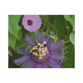 Canvas wall hanging Passion Flower & Morning Glory Gallery Wrapped Canvas