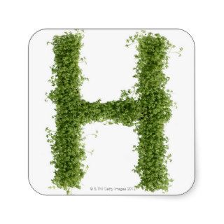 Letter 'H' in cress on white background, Square Sticker