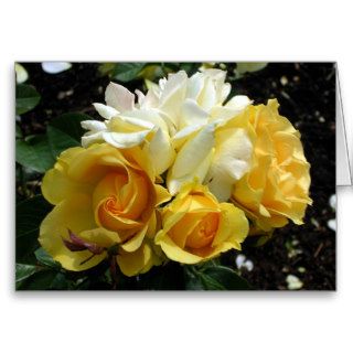 Yellow and White Roses Cards