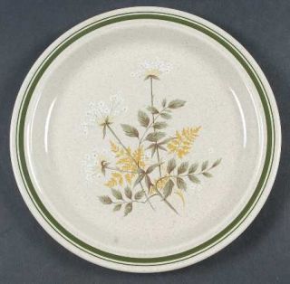 Royal Doulton Will O The Wisp (Double Green Lne) Salad Plate, Fine China Dinner