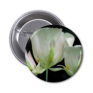 Sego Lily Wildflowers Pinback Buttons