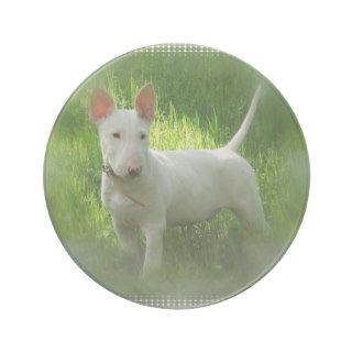 Pitbull Terrier Dog Coasters