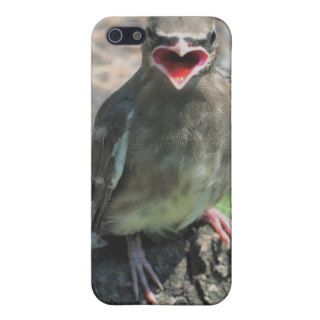 Baby Waxwing Bird Animal iPhone 4 Speck Case Cases For iPhone 5