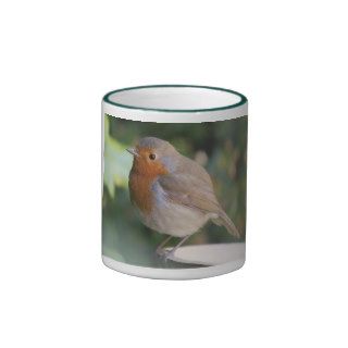 Robin Redbreast Mug