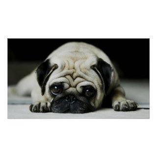 Sad Pug Puppy Dog Poster