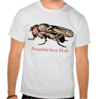 Drosophila Love PLoS Tees