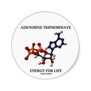 Adenosine Triphosphate (ATP) Energy For Life Stickers