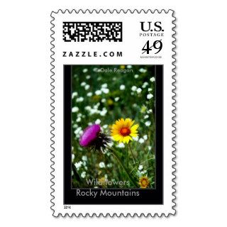 Wildflowers   Estes Park, Co, USA. Postage Stamp