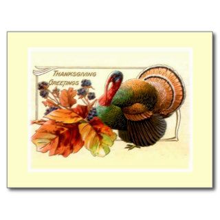 Thanksgiving Greetings Post Card